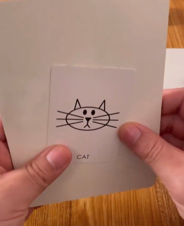 Doodle Dictator - Image 5