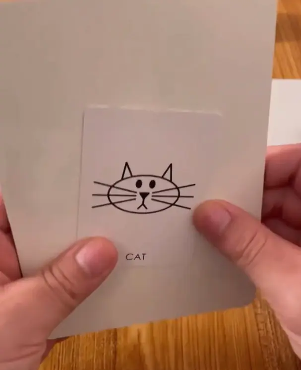 Doodle Dictator - Image 5