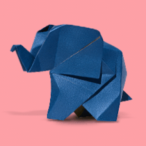 Profile photo of Pooja Srinivas [Marketing, UX Design, Artist]